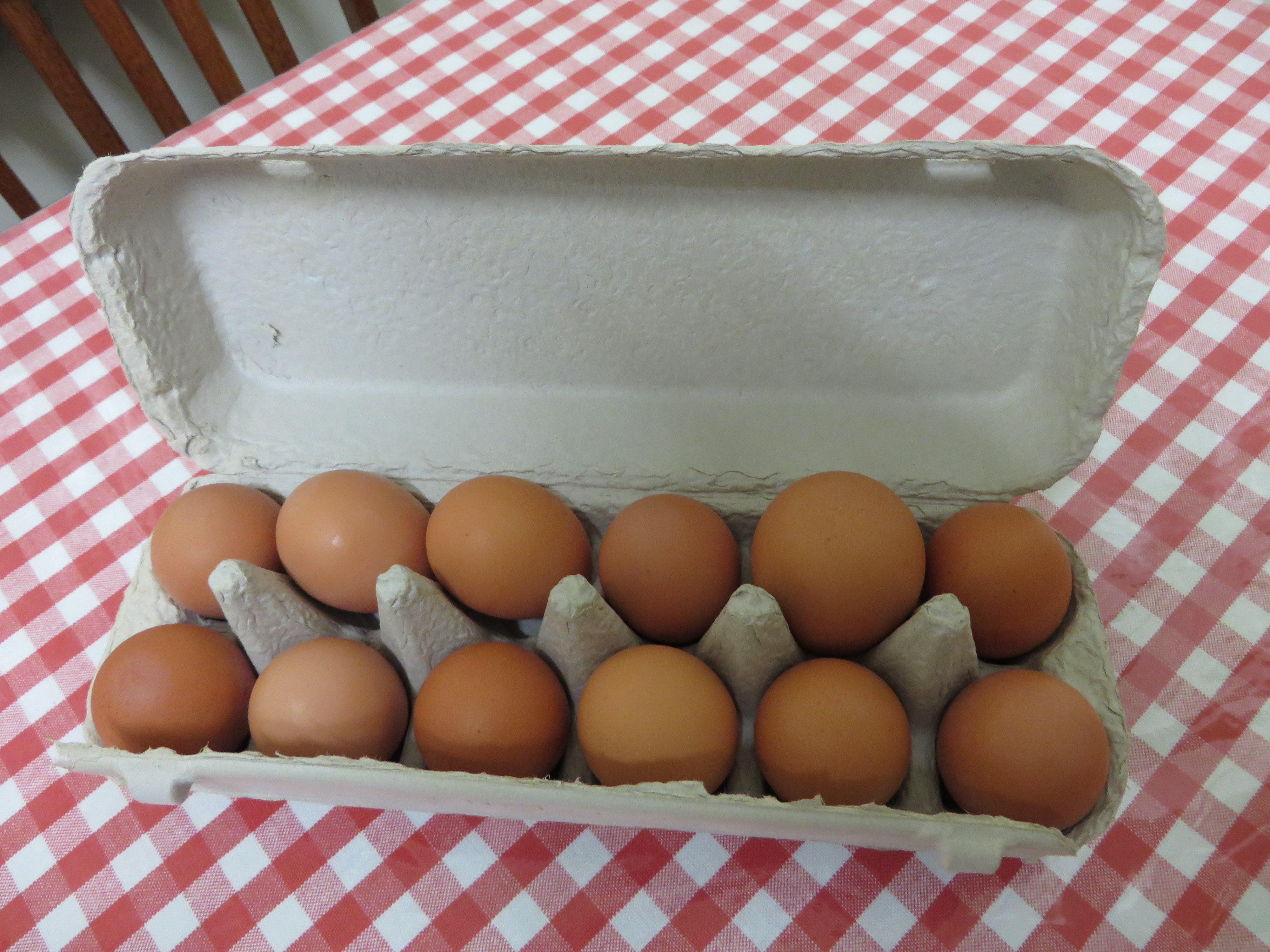 large egg in medium egg carton